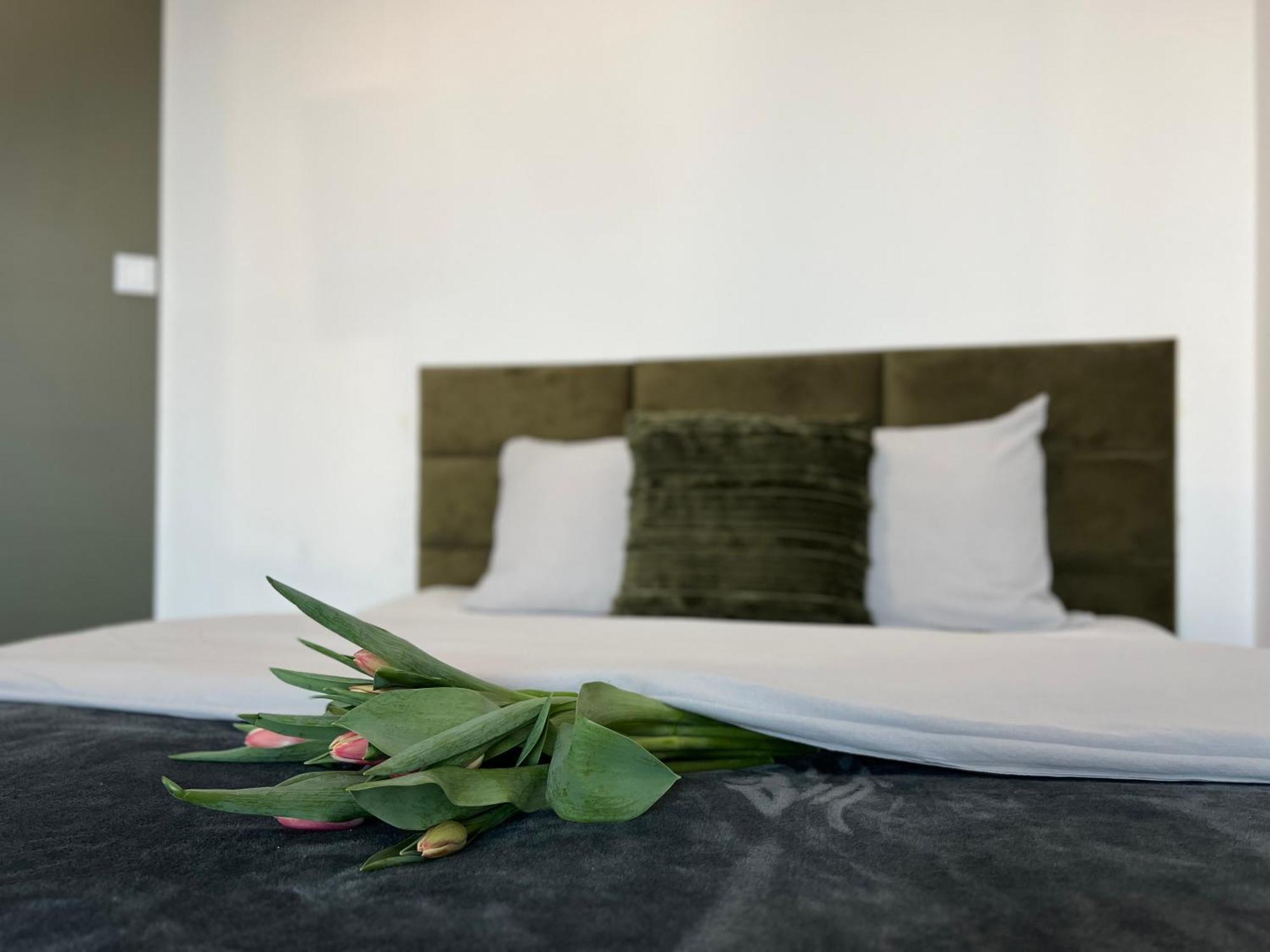 Parkcity Centrum Nova Mikolowska Katowice Zewnętrze zdjęcie